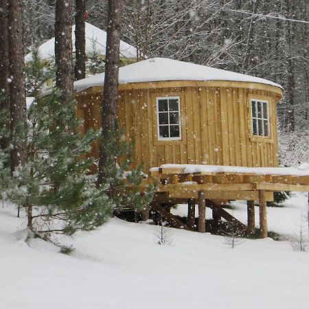 La Maison Sous Les Arbres Saint Roch de Mekinac ภายนอก รูปภาพ