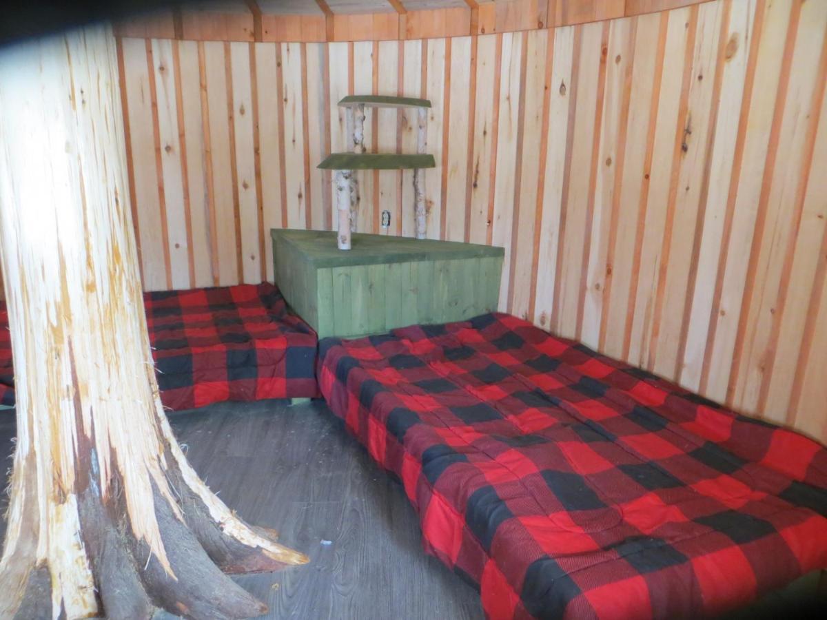 La Maison Sous Les Arbres Saint Roch de Mekinac ภายนอก รูปภาพ