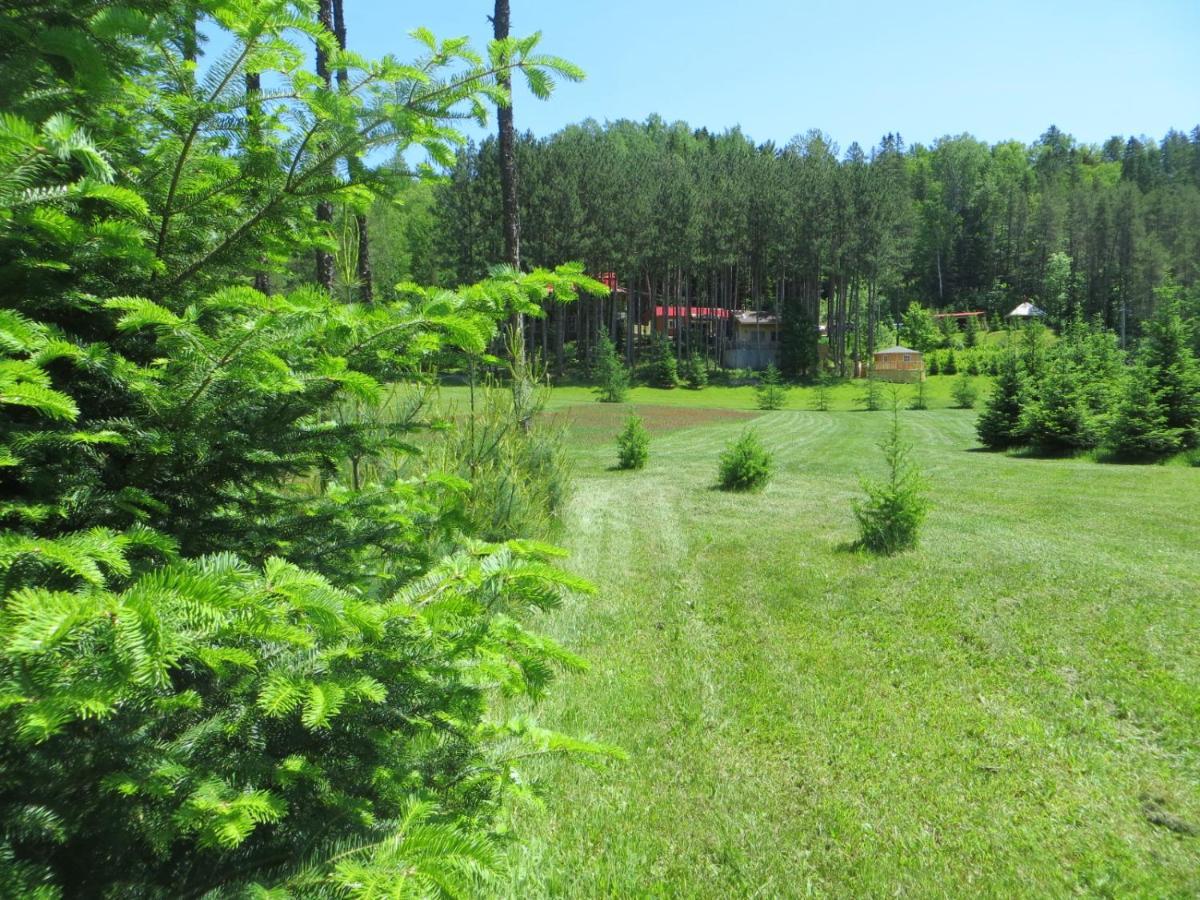 La Maison Sous Les Arbres Saint Roch de Mekinac ภายนอก รูปภาพ