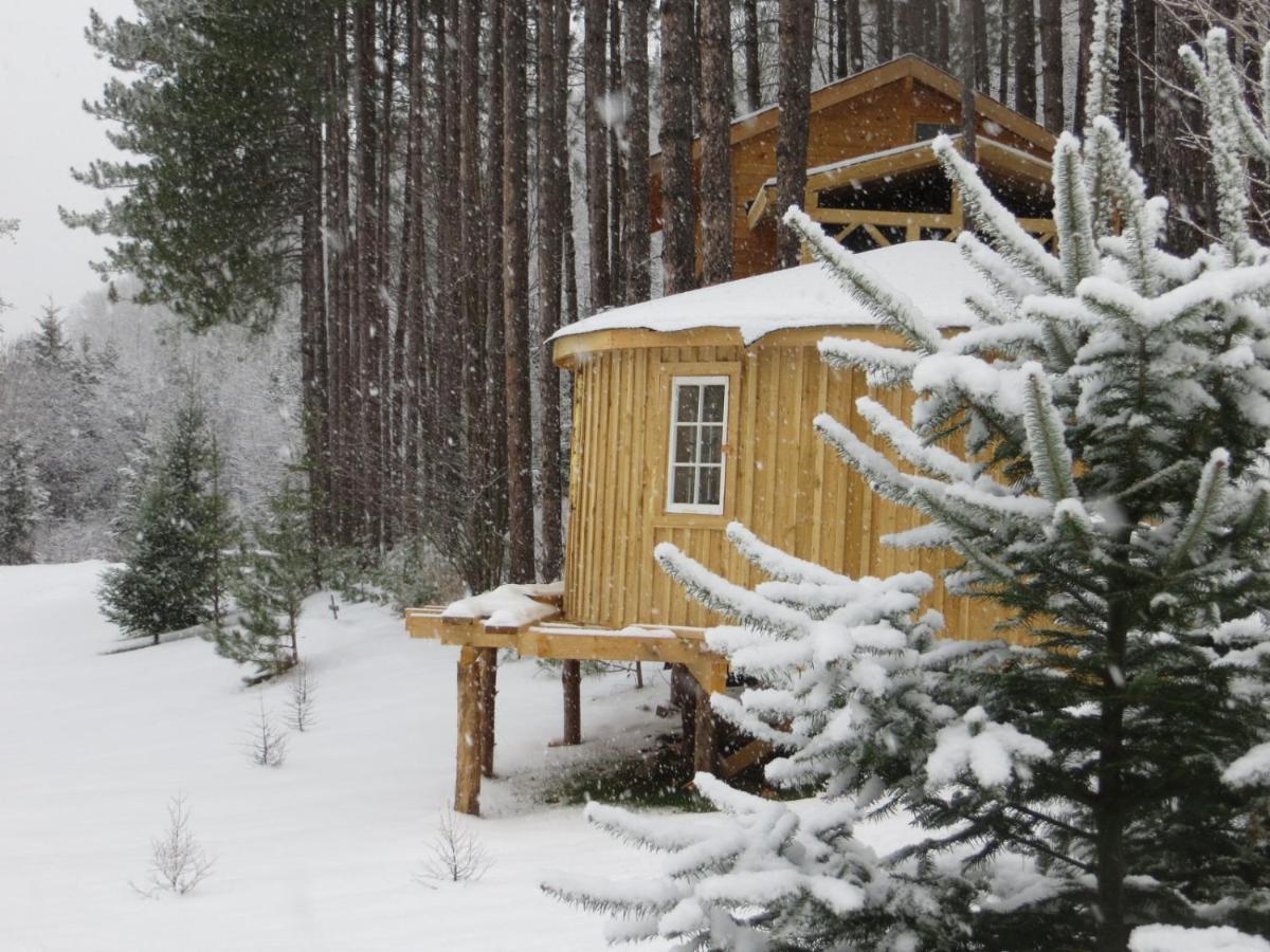 La Maison Sous Les Arbres Saint Roch de Mekinac ภายนอก รูปภาพ