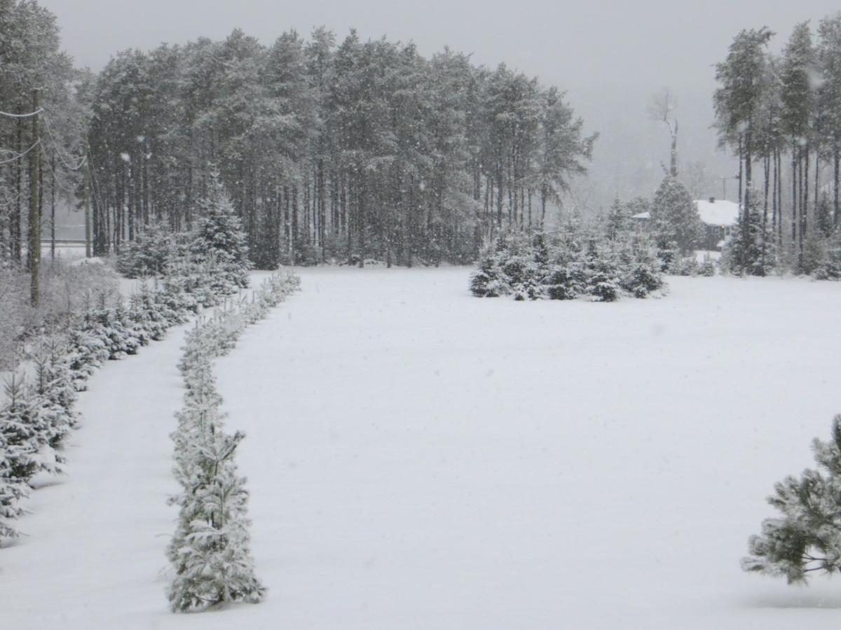 La Maison Sous Les Arbres Saint Roch de Mekinac ภายนอก รูปภาพ